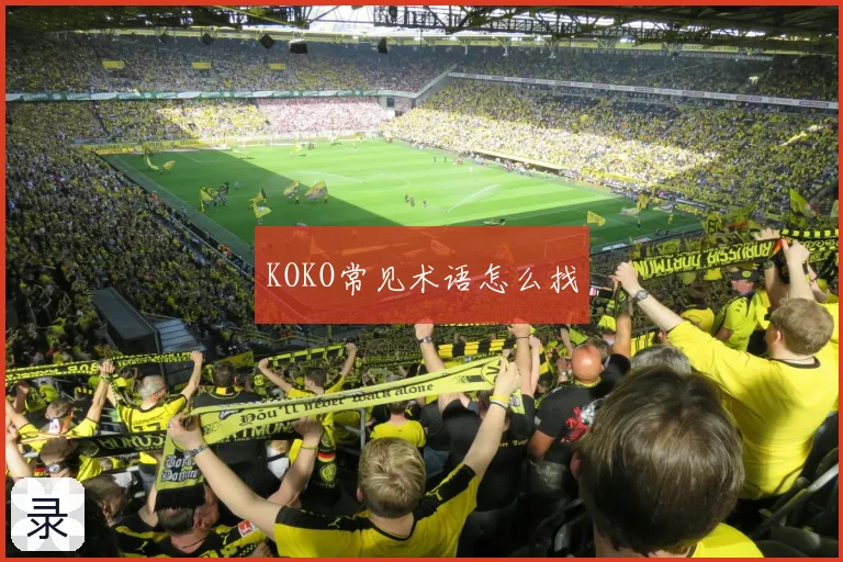 KOKO常见术语怎么找
